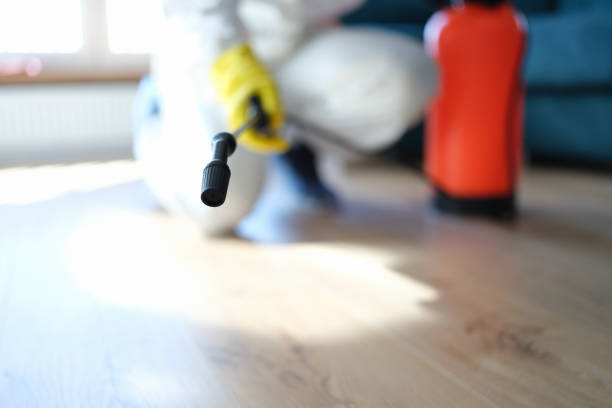 Mold Documentation for Insurance Claims in Scotland Neck, NC
